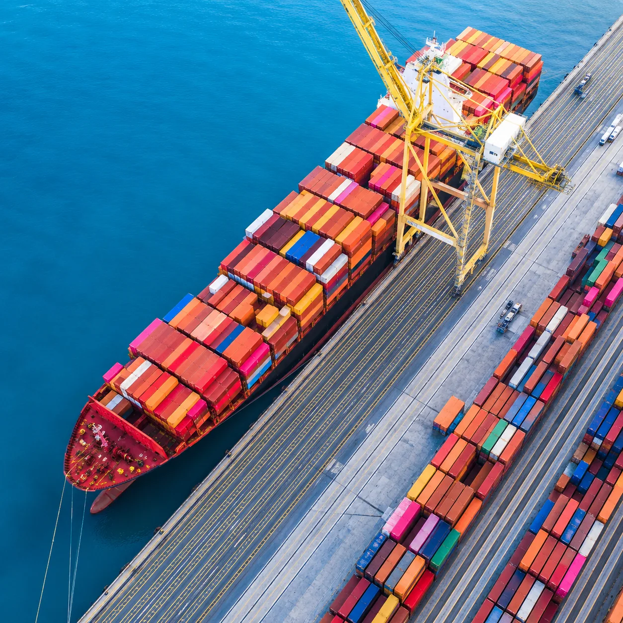 Leen Trade product categories — food packaging, disposables, jumbo rolls, industrial materials